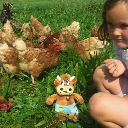 Lunzenhof Apartmán Oberharmersbach