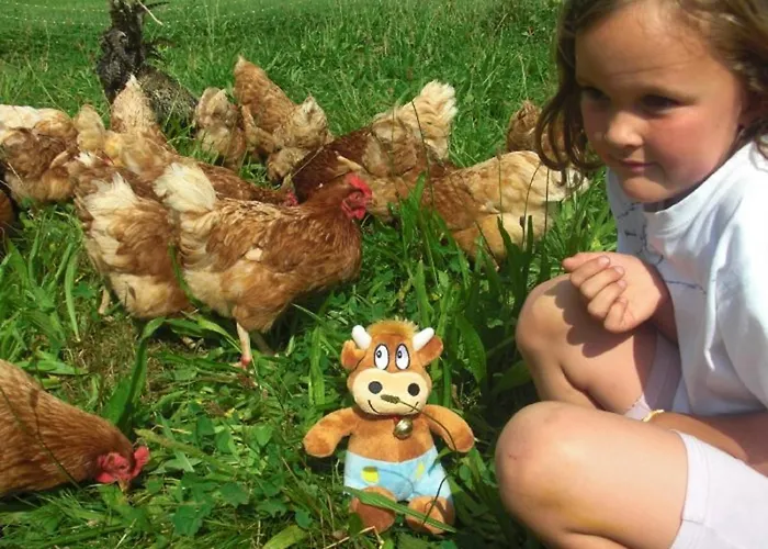 Lunzenhof Appartement Oberharmersbach